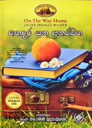 ගෙදර යන අතරමග