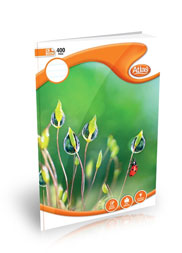 CR 400PGS SINGLE RULED